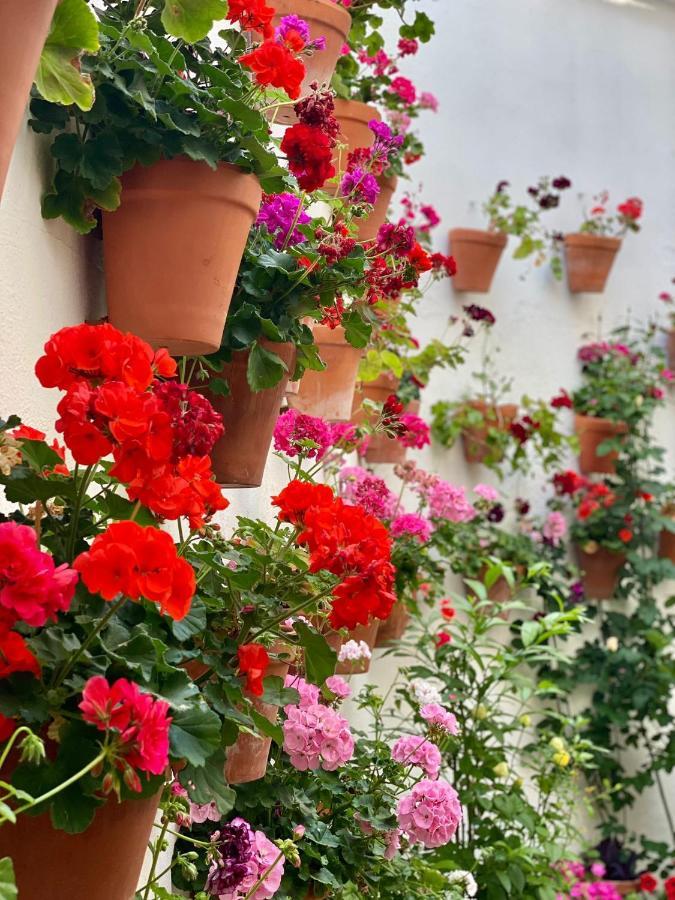 Amal Casa De Huespedes Apartman Córdoba Kültér fotó