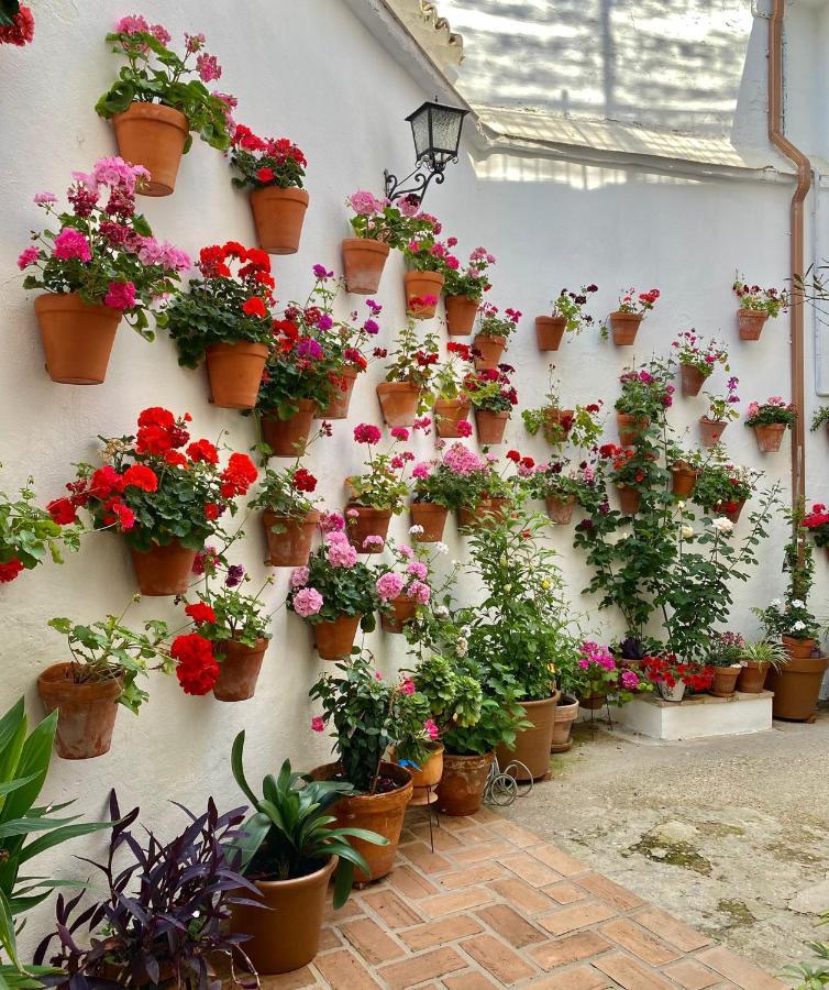Amal Casa De Huespedes Apartman Córdoba Kültér fotó